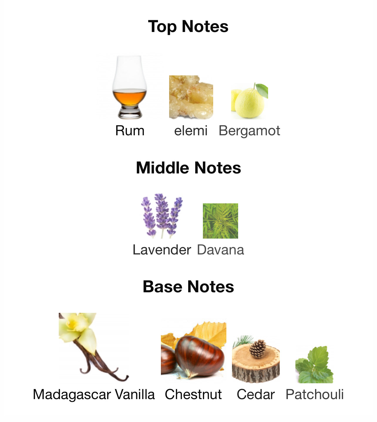 Armani Stronger With You Absolutely