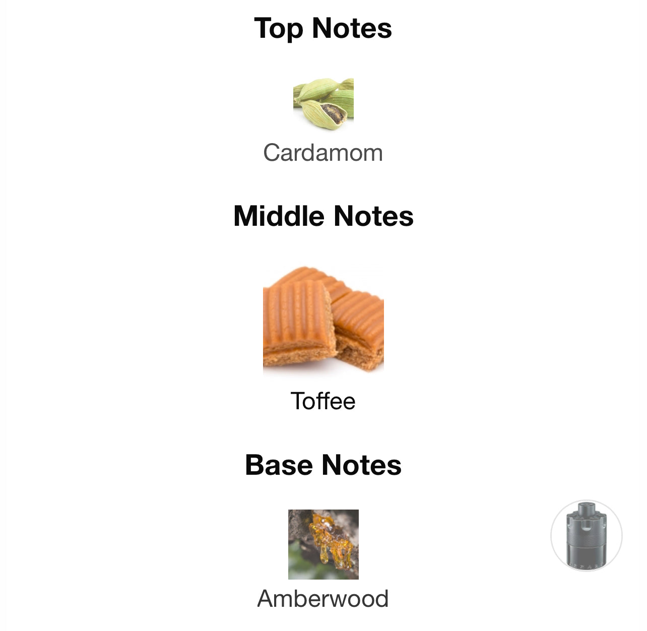 Azzaro The Most Wanted intense edp