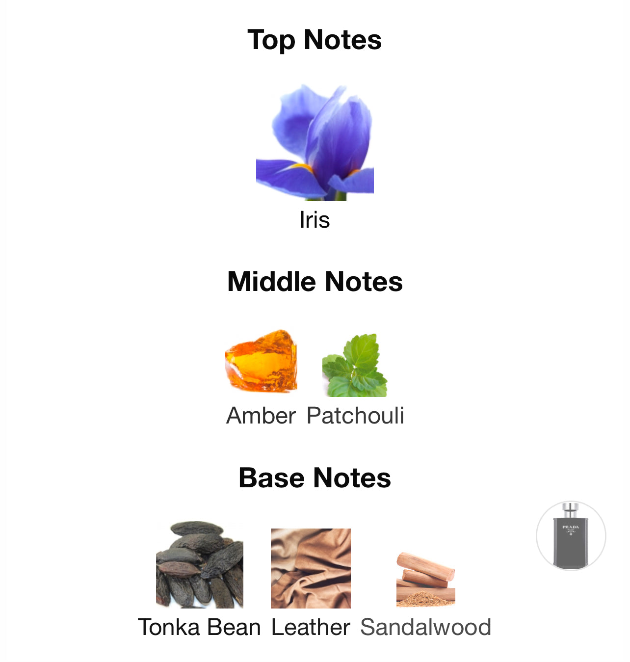 Prada L'Homme intense