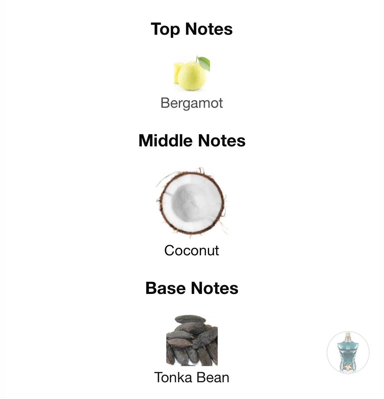 Jean Paul Gaultier Le Beau