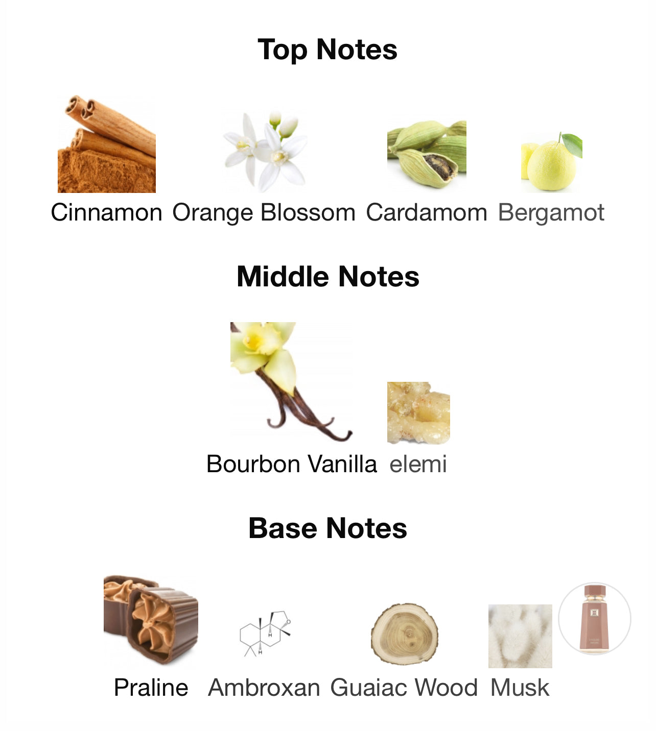 French Avenue Liquid Brun