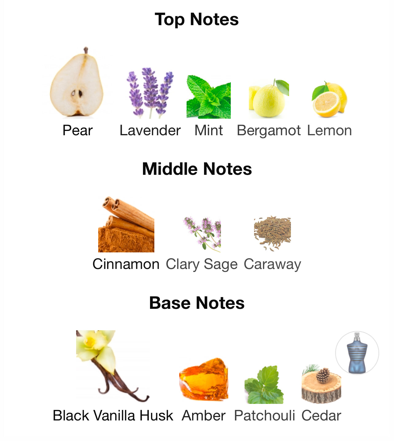 Jean Paul Gaultier Ultra Male