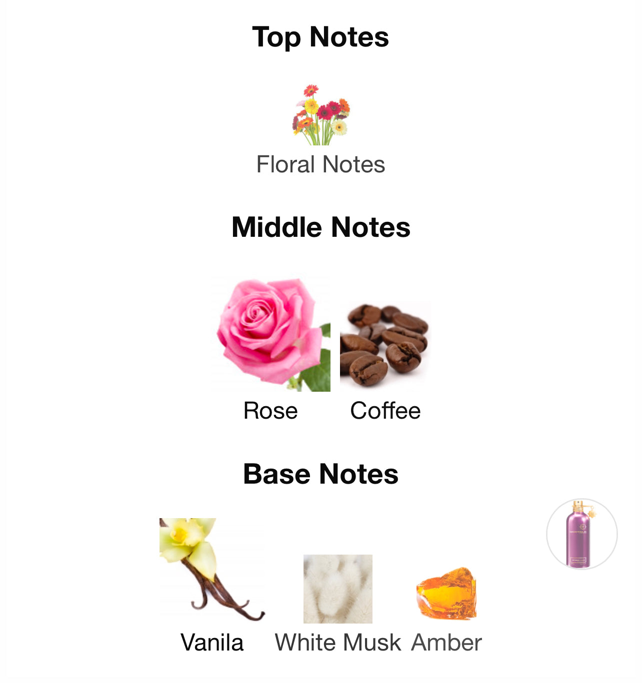 Montale Intense Cafe