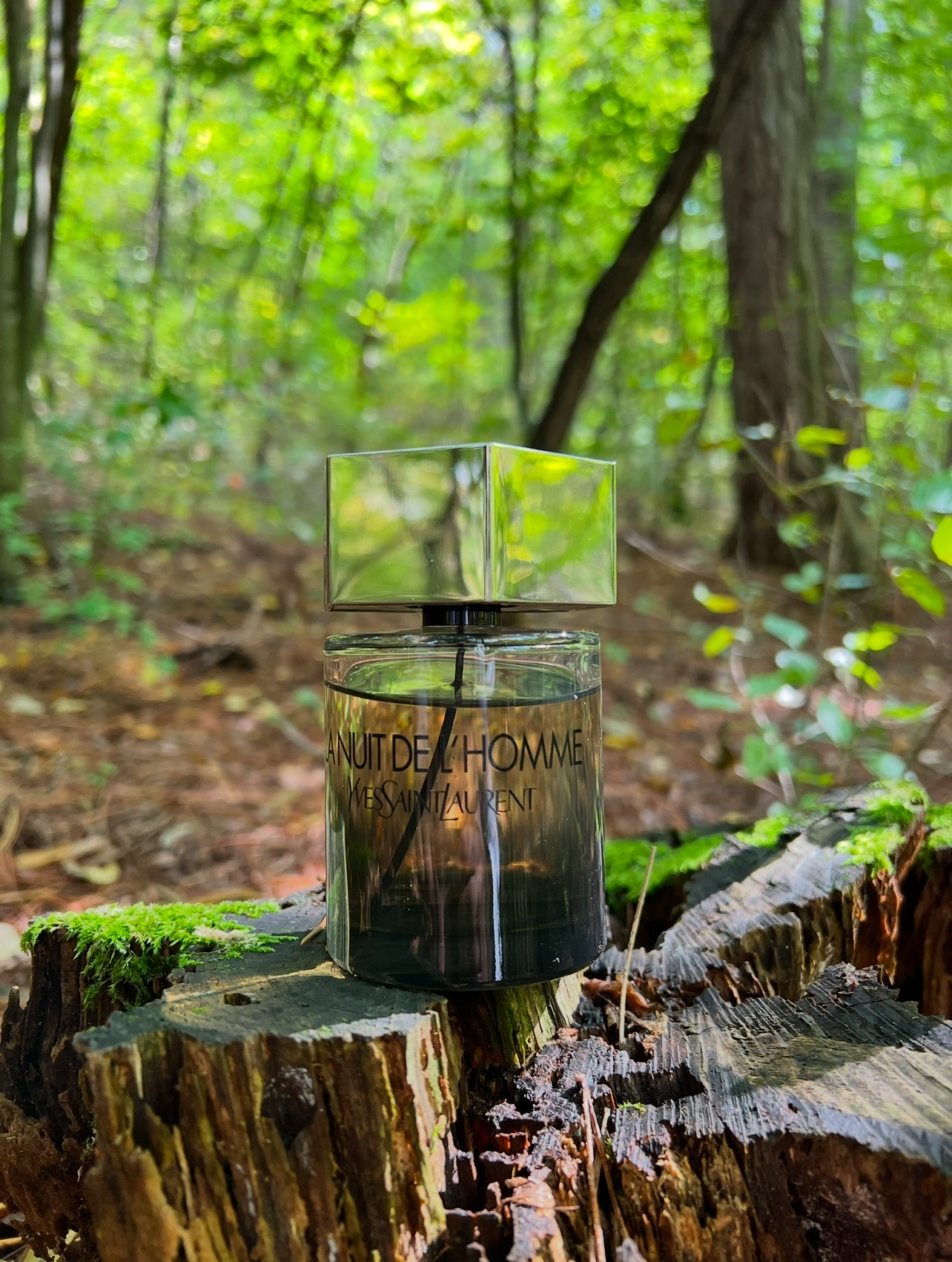 YSL La Nuit de L'Homme