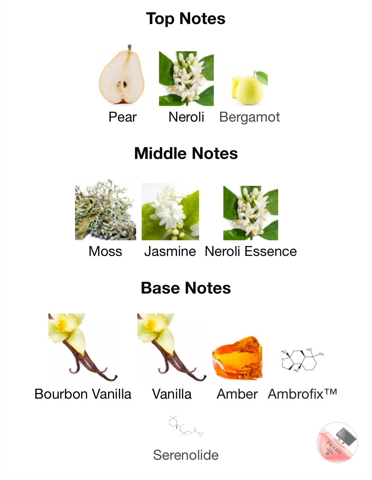 Prada Paradoxe intense