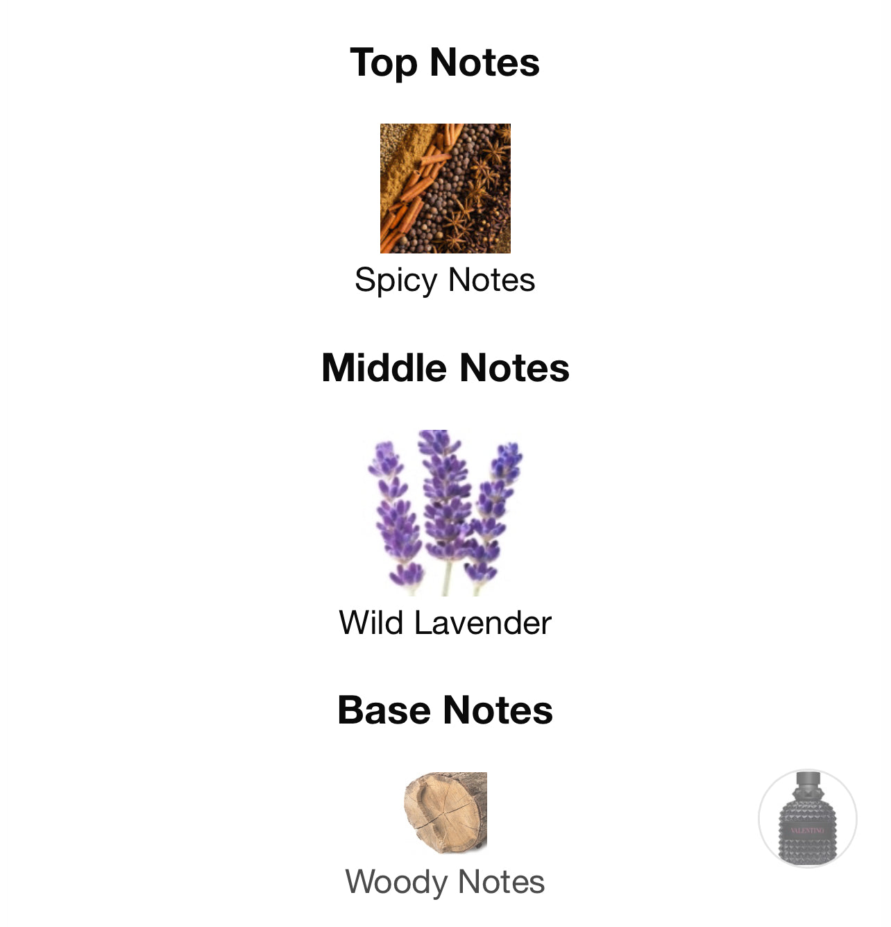 Valentino Born in Roma Extradose