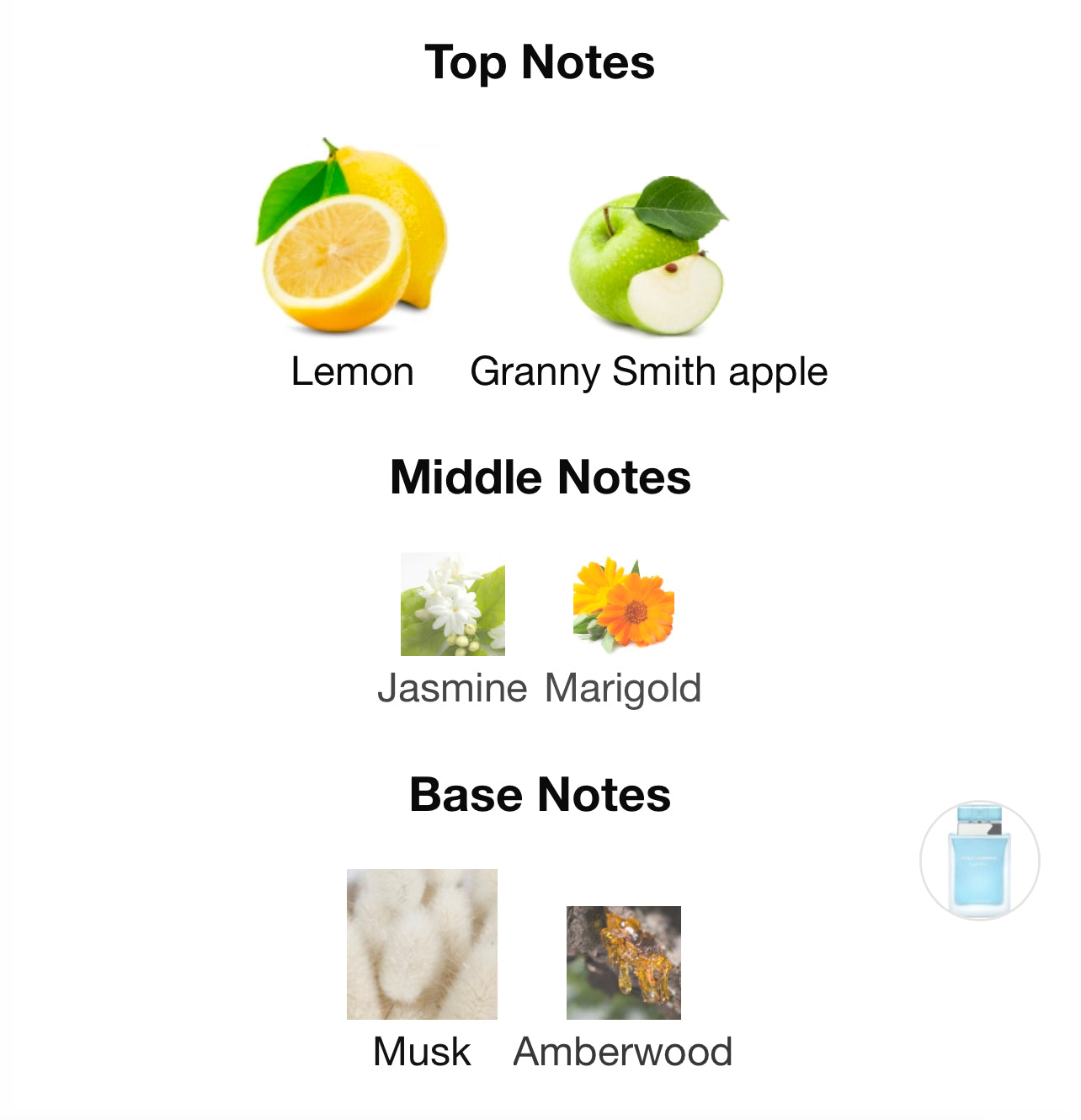 Dolce&Gabbana Light Blue intense Women