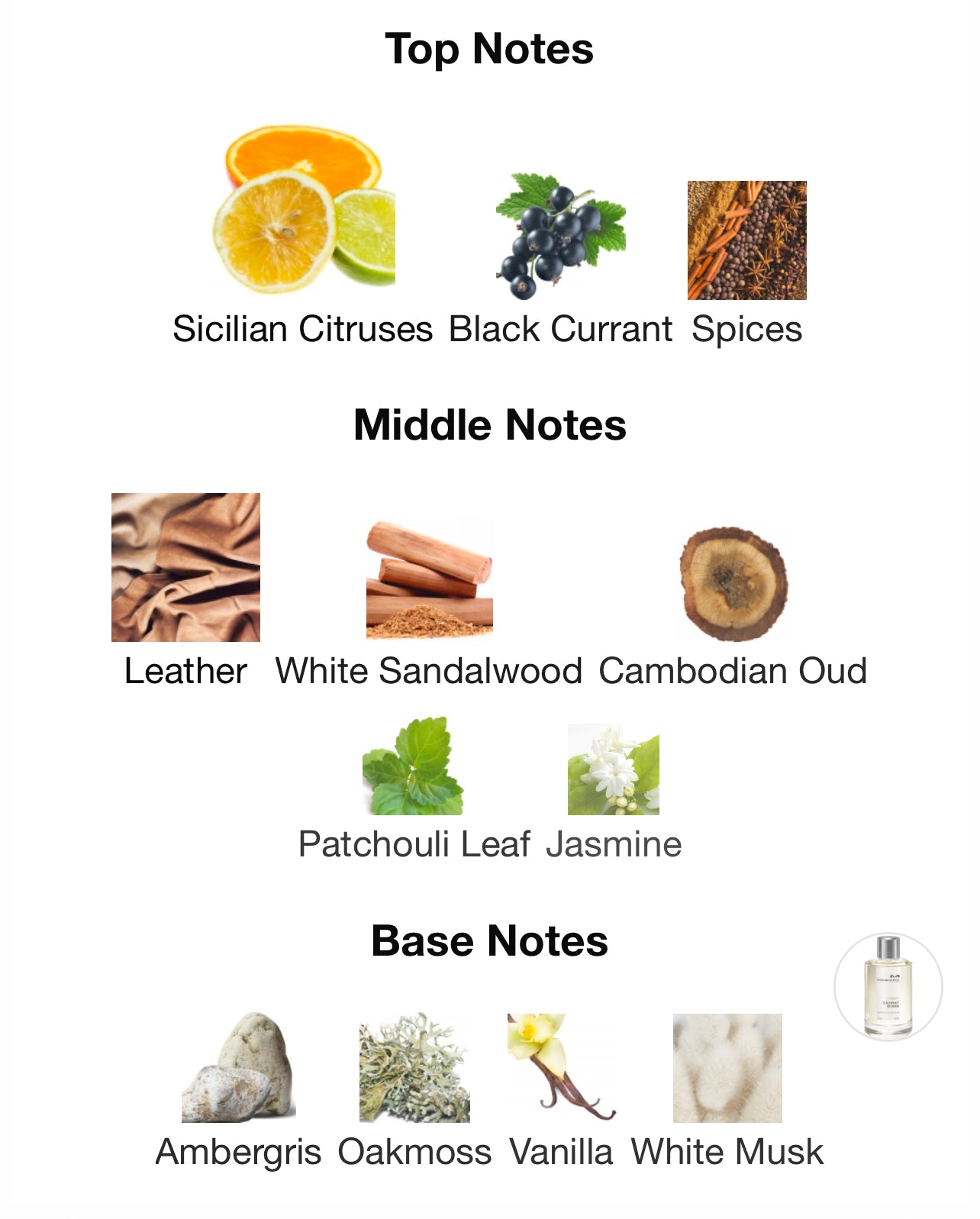 Mancera Intense Cedrat Boise