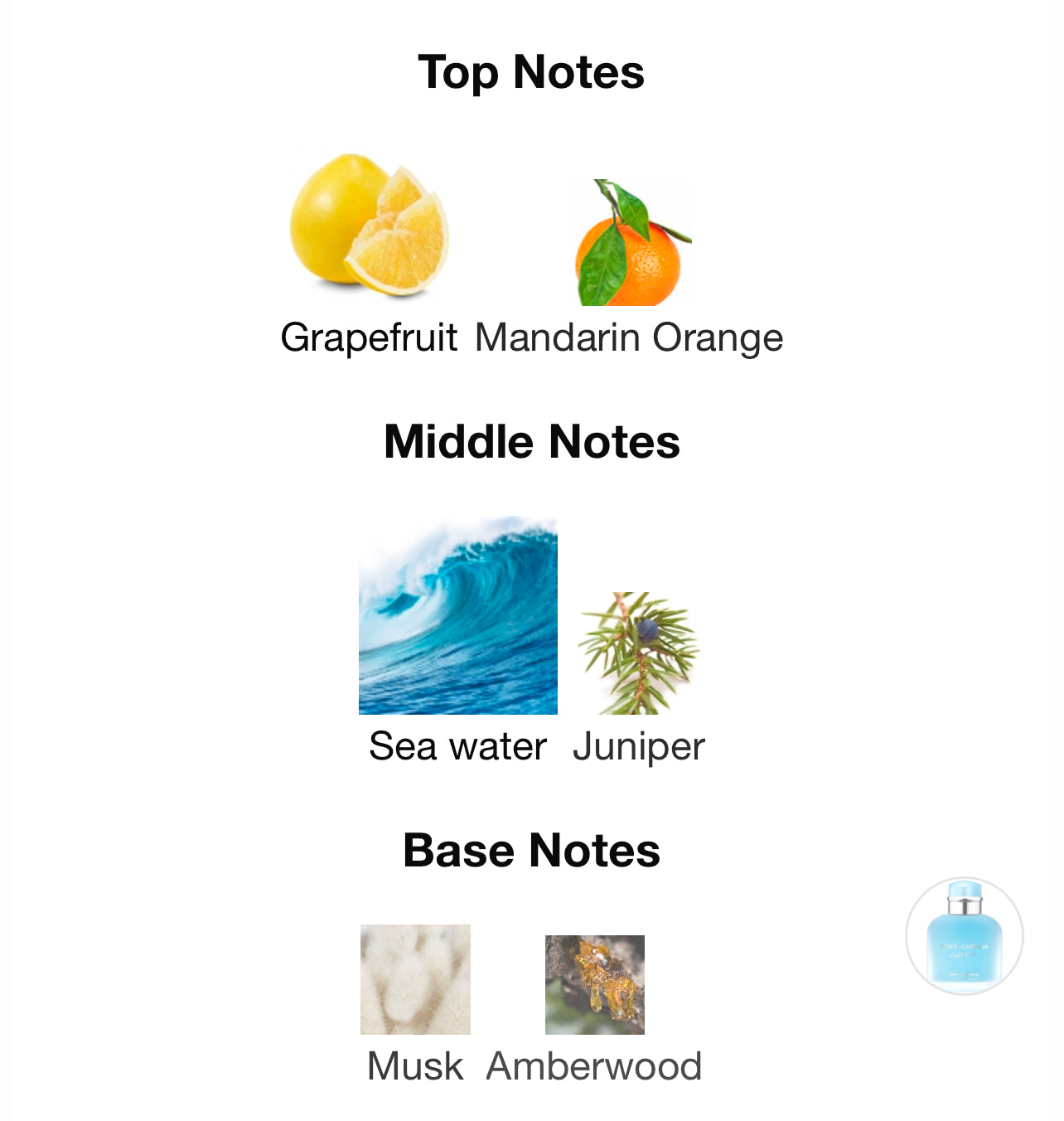 Dolce&Gabbana Light Blue eau intense for Men