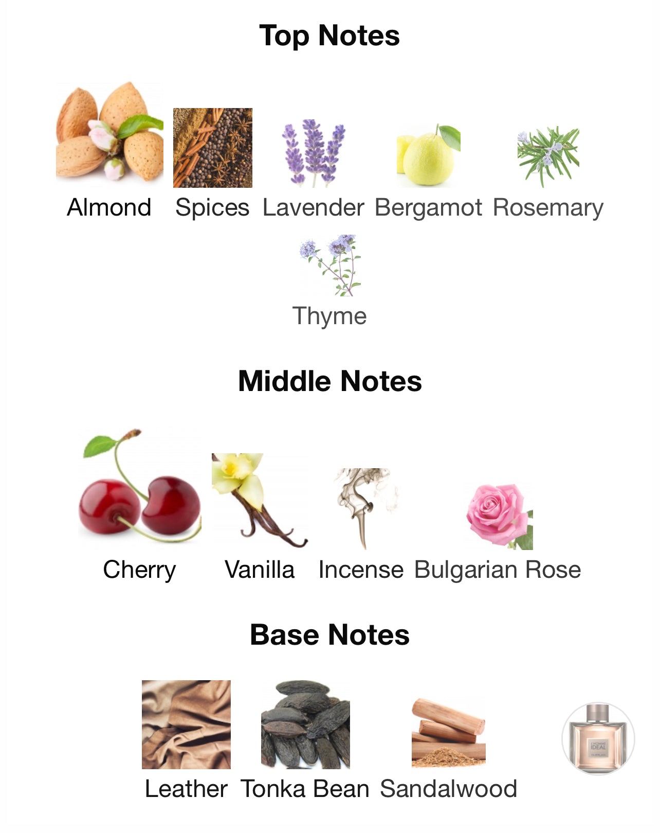 Guerlain L'Homme Ideal edp