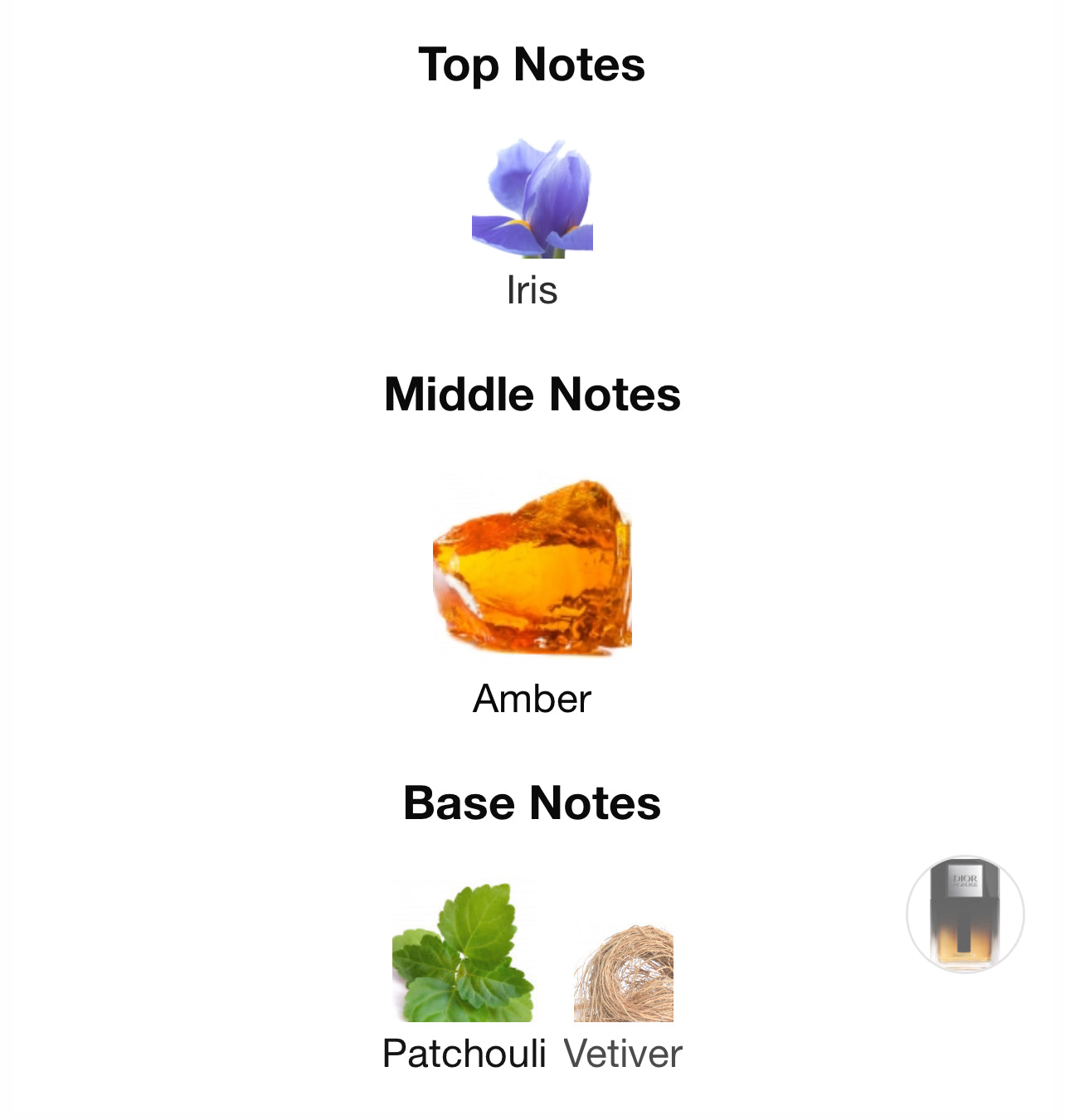 Dior Homme Parfum 2025