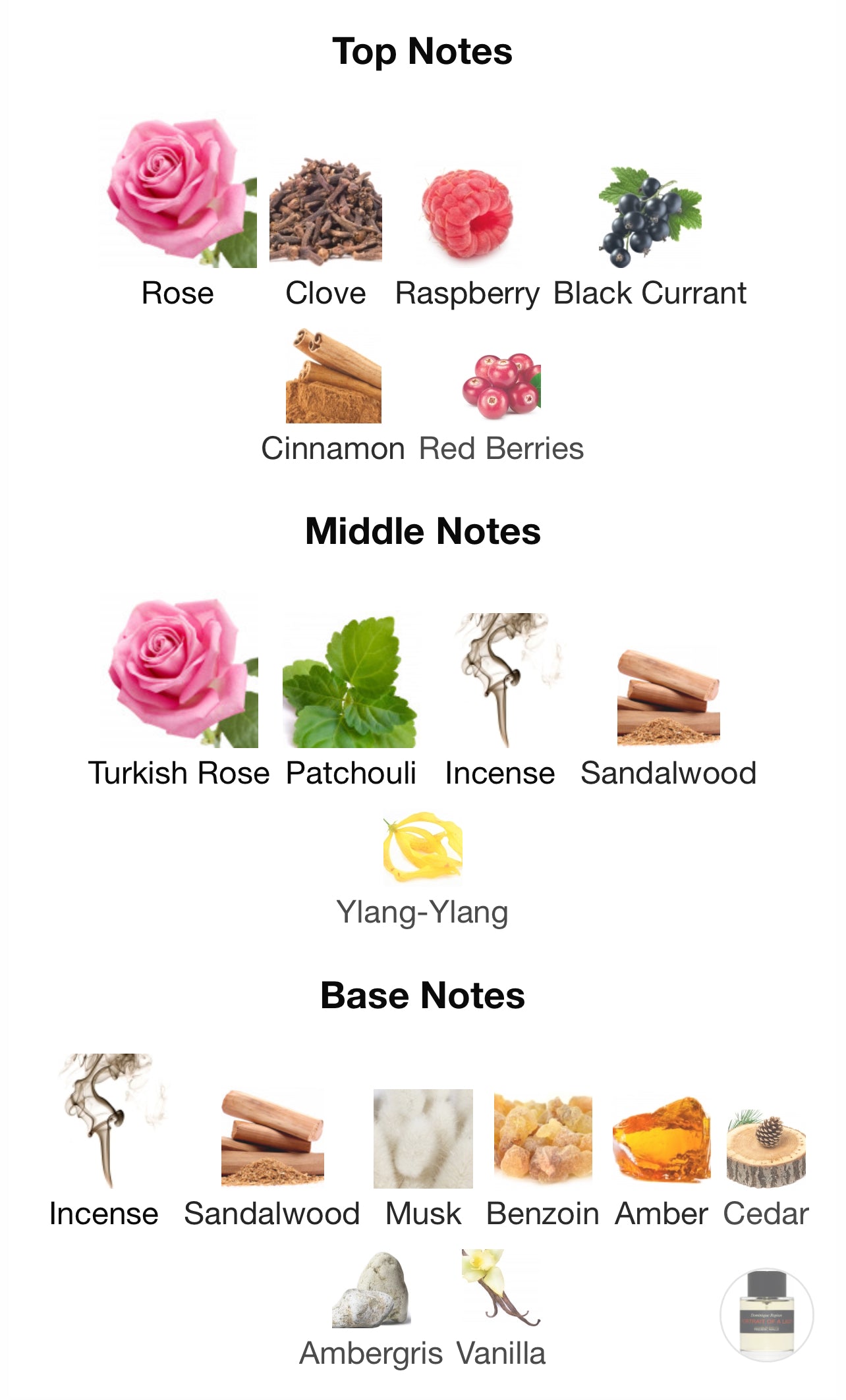 Frederic Malle Portrait of a Lady