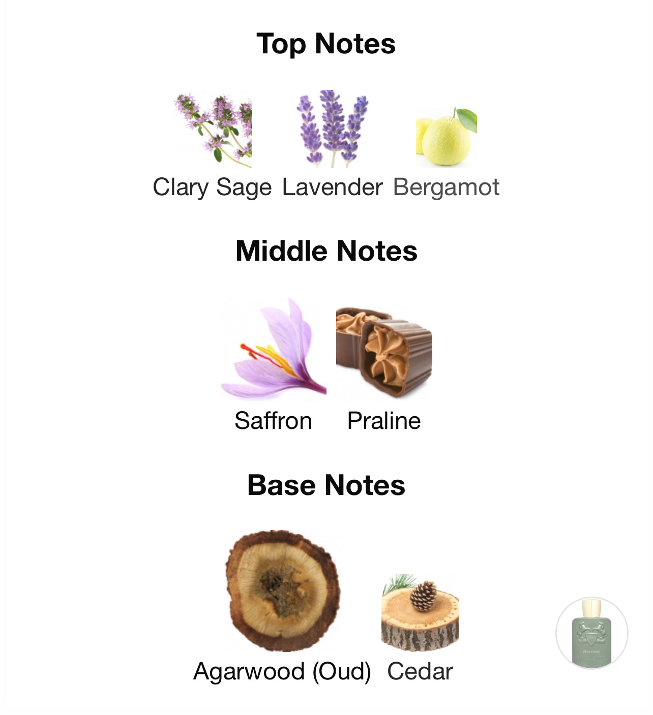 Parfums de Marly Haltane