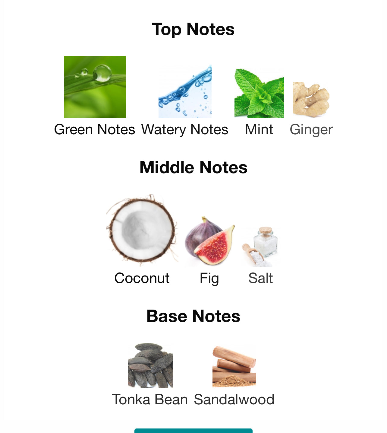 Jean Paul Gaultier Le Beau Paradise Garden