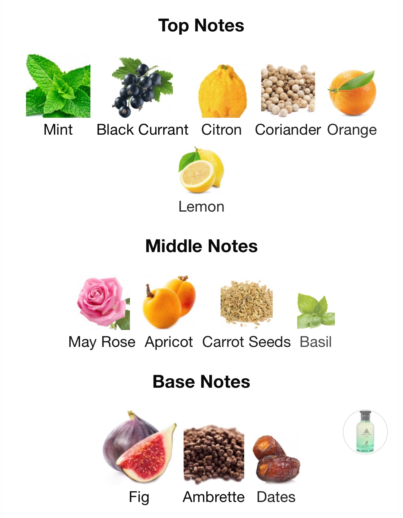 Maison Alhambra Jean Lowe Vibe