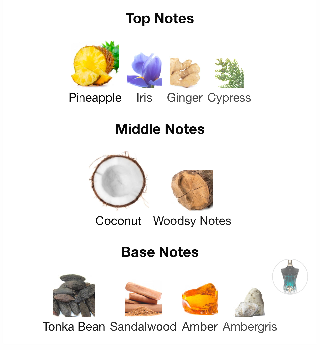 Jean Paul Gaultier Le Beau Le Parfum