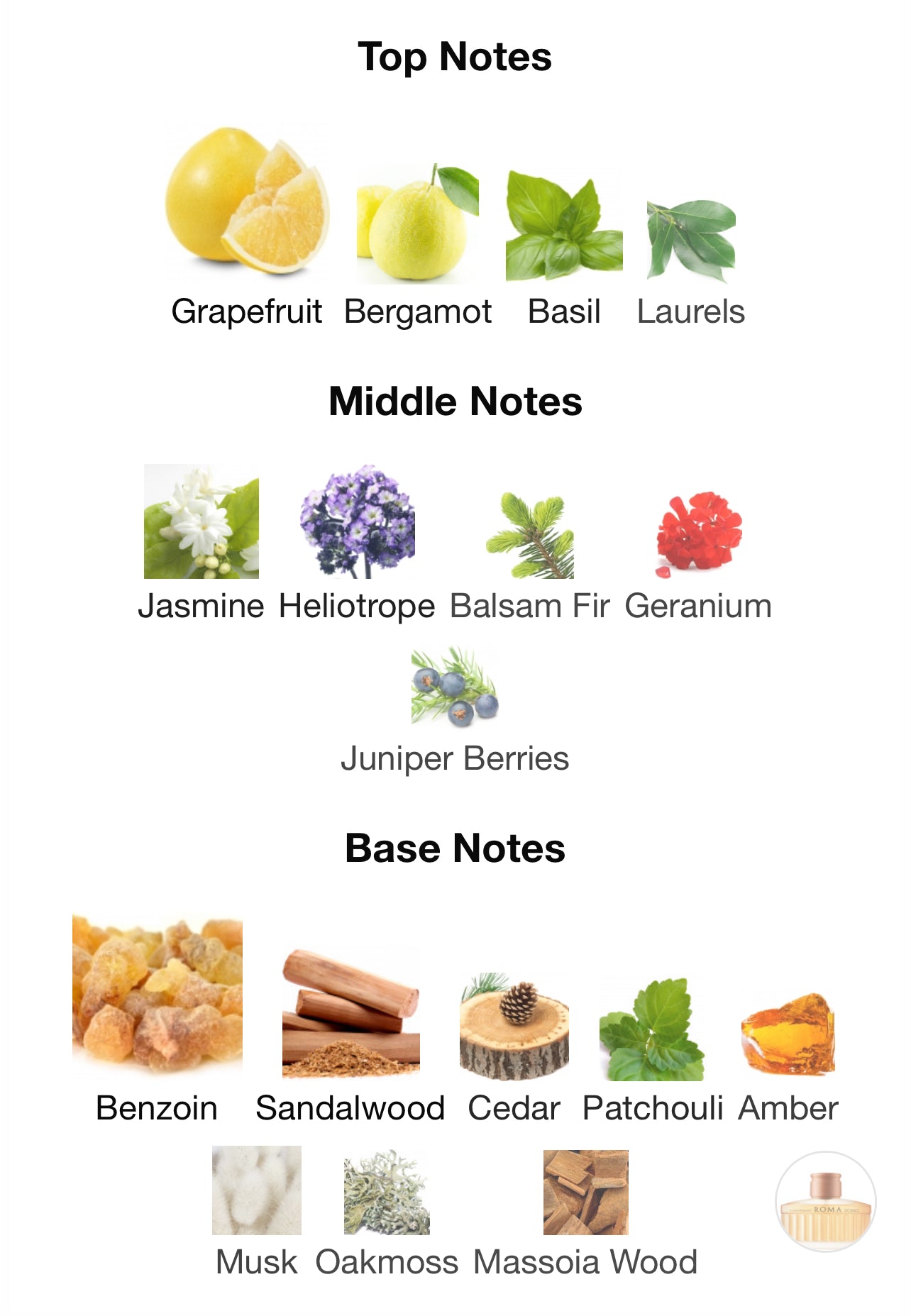 Laura Biagiotti Roma Uomo