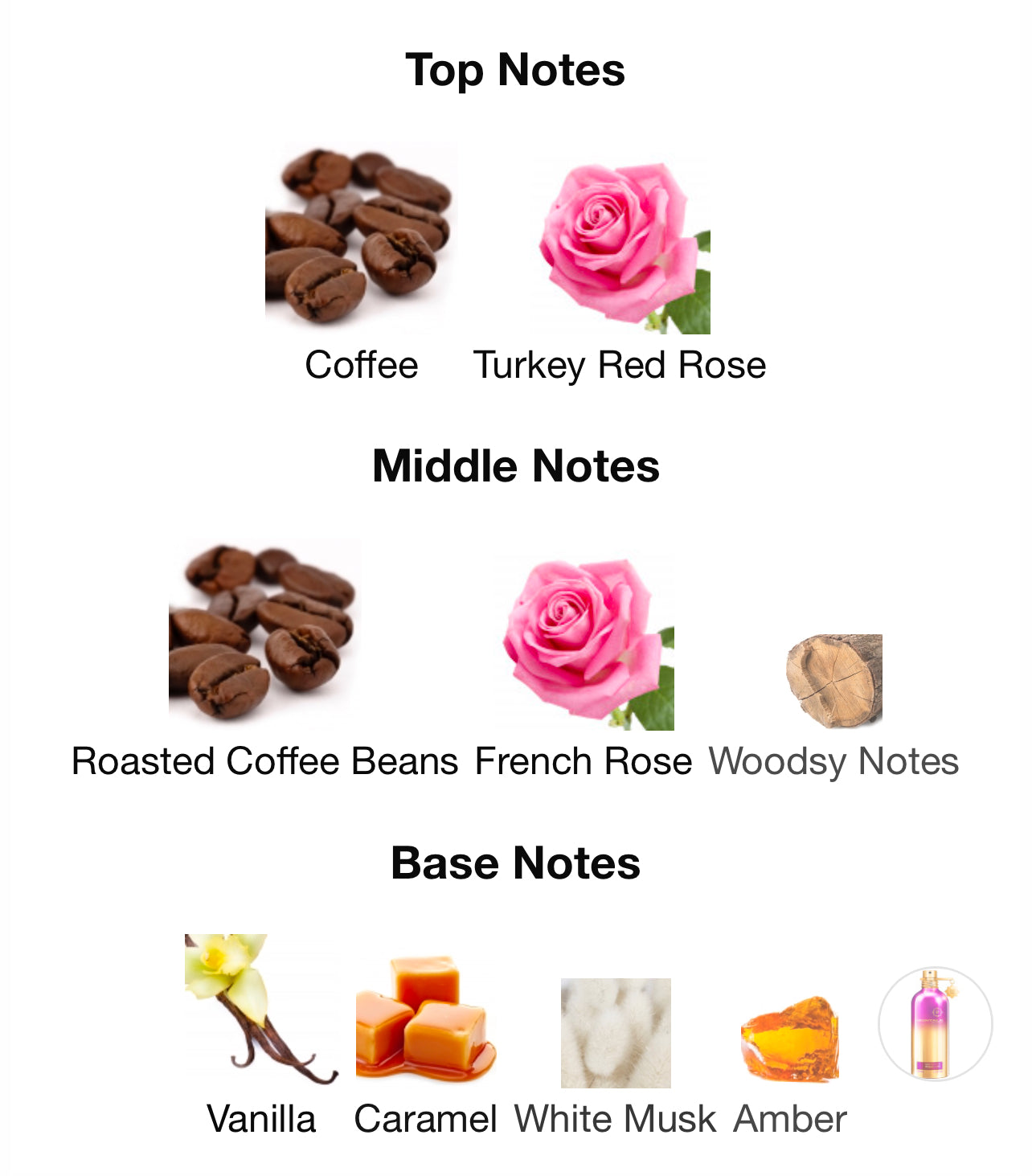 Montale Ristretto Intense Cafe