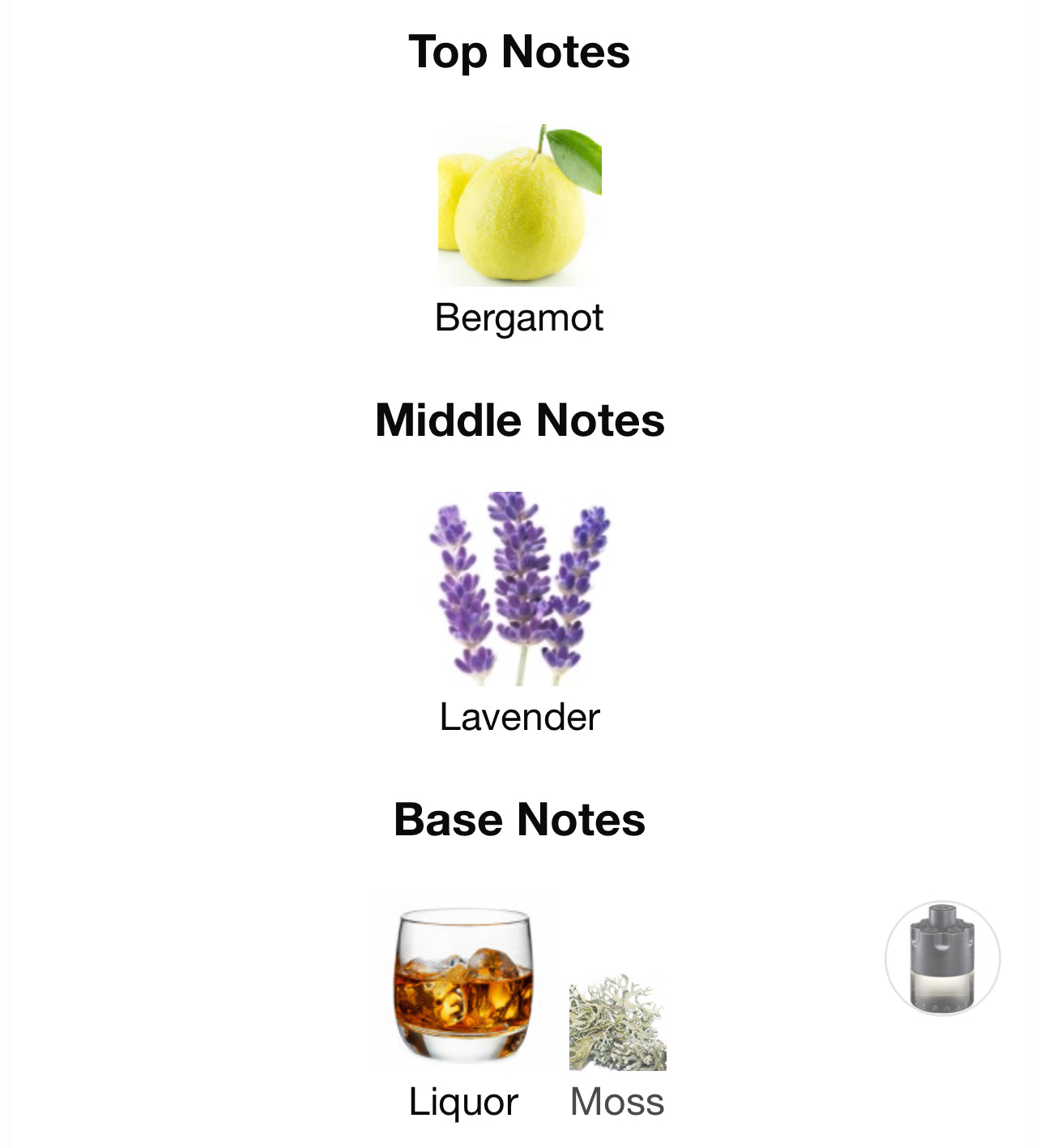 Azzaro The Most Wanted intense