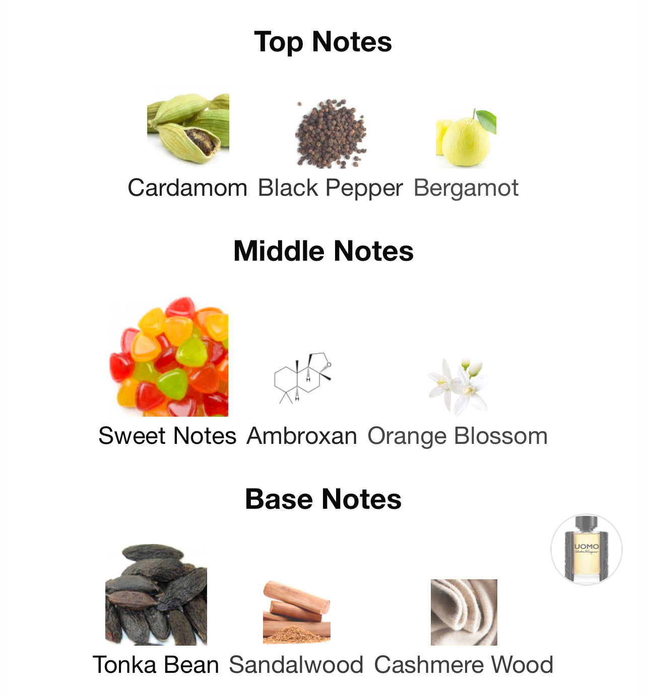 Salvatore Ferragamo Uomo