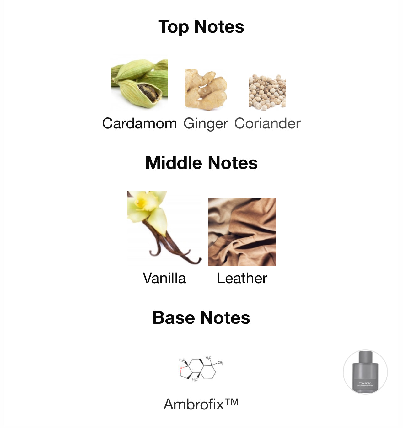 Tom Ford Eau d Ombre Leather