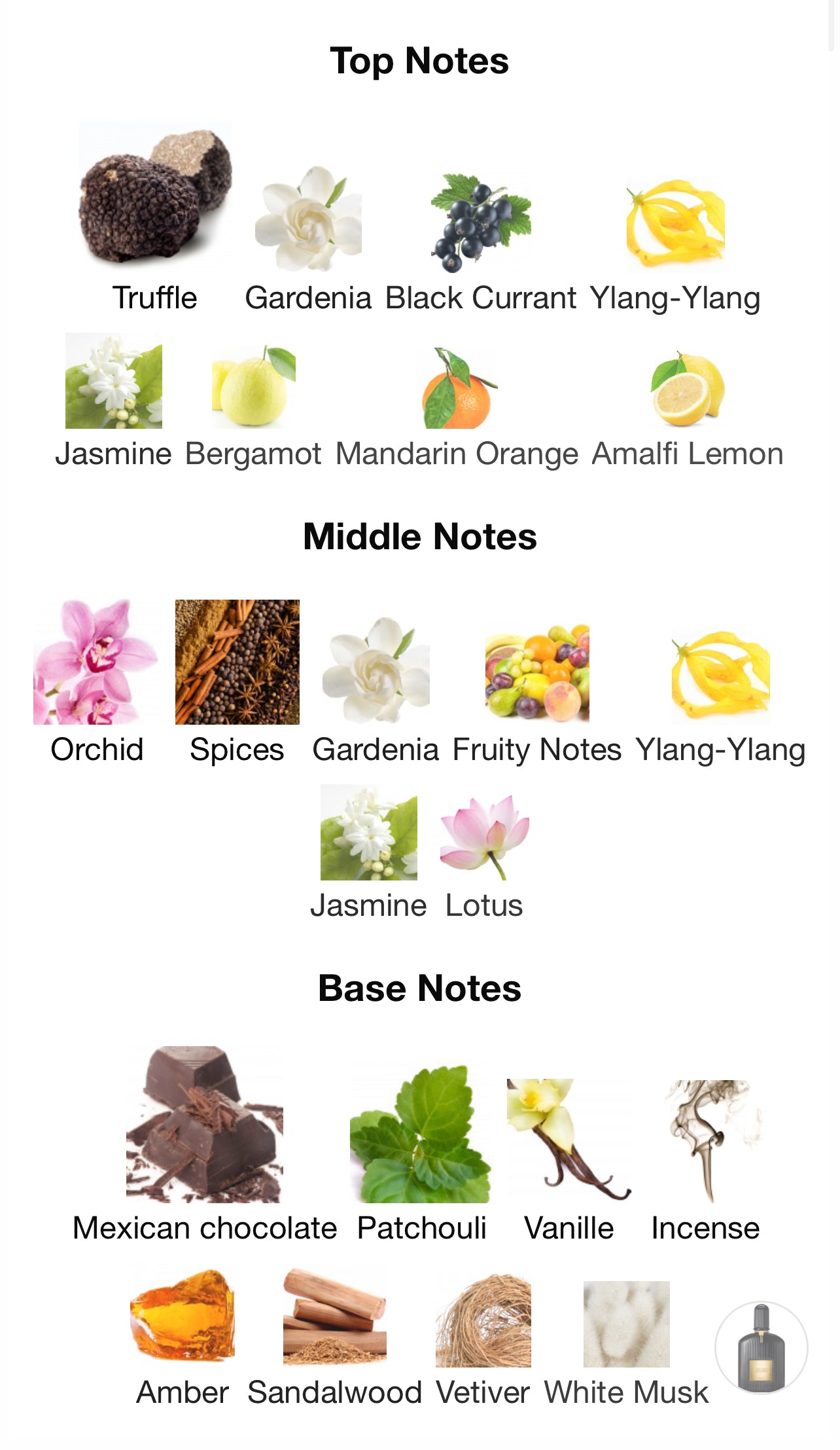 Tom Ford Black Orchid