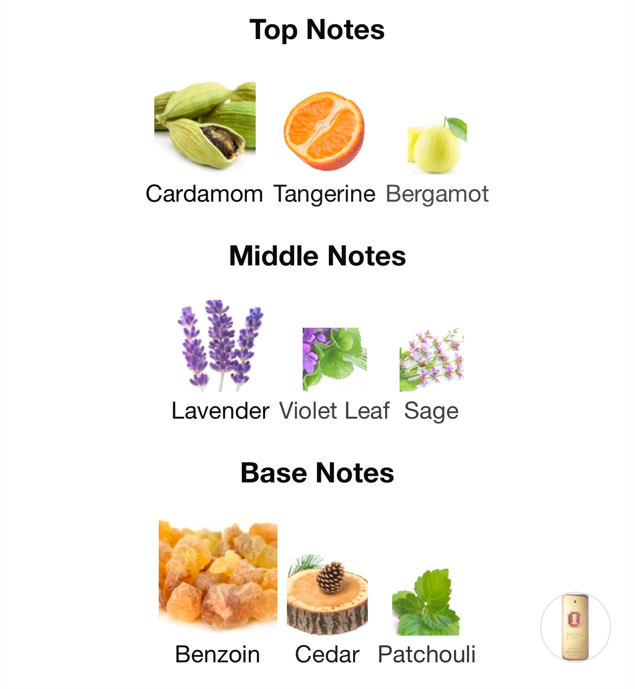 Paco Rabanne 1 Million Royal