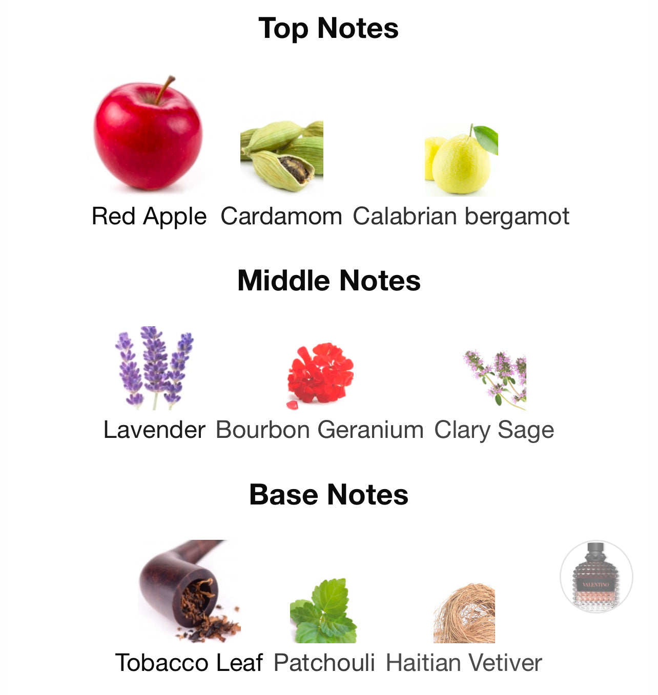 Valentino Coral Fantasy