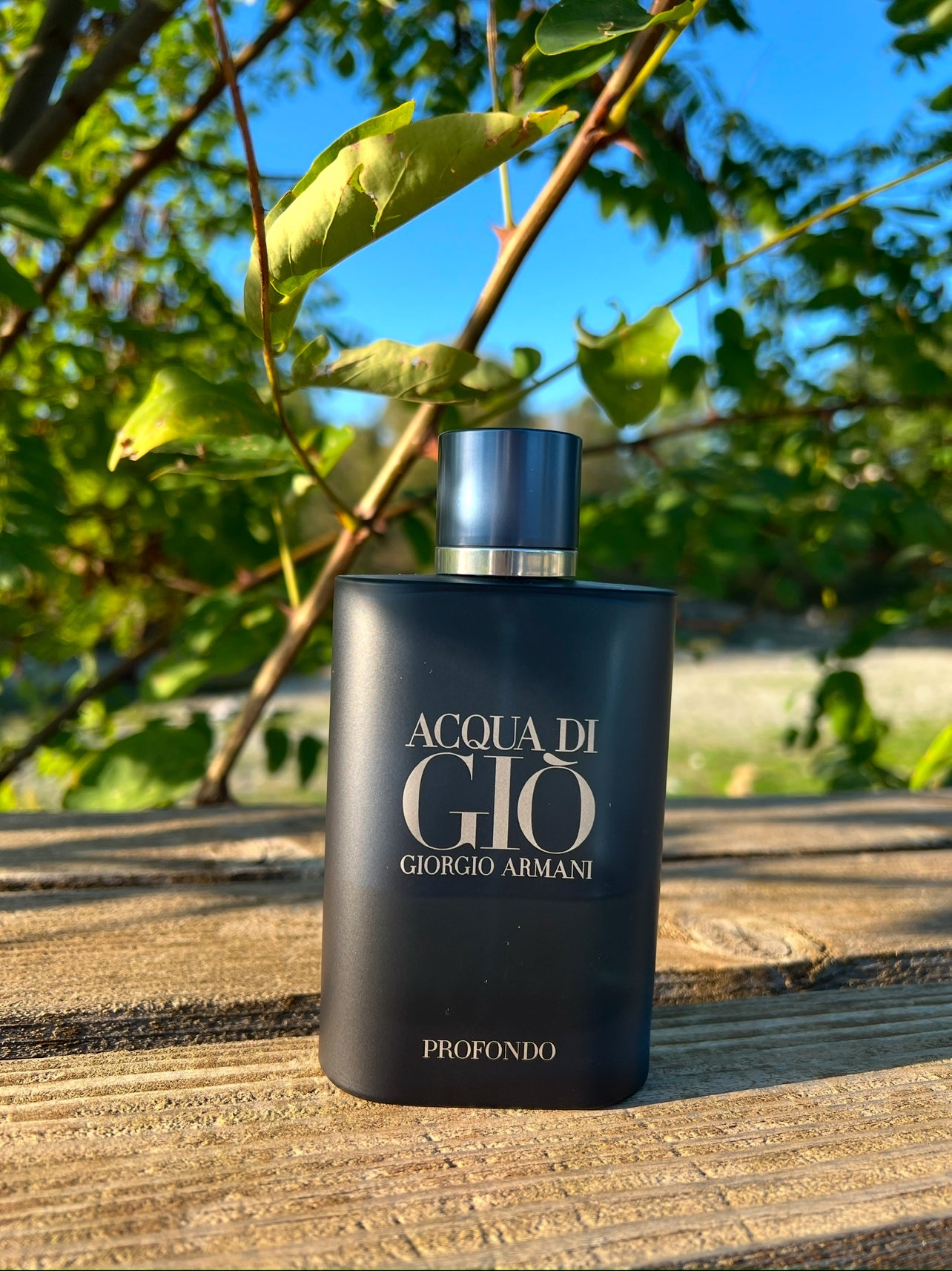 Armani Acqua Di Gio Profondo