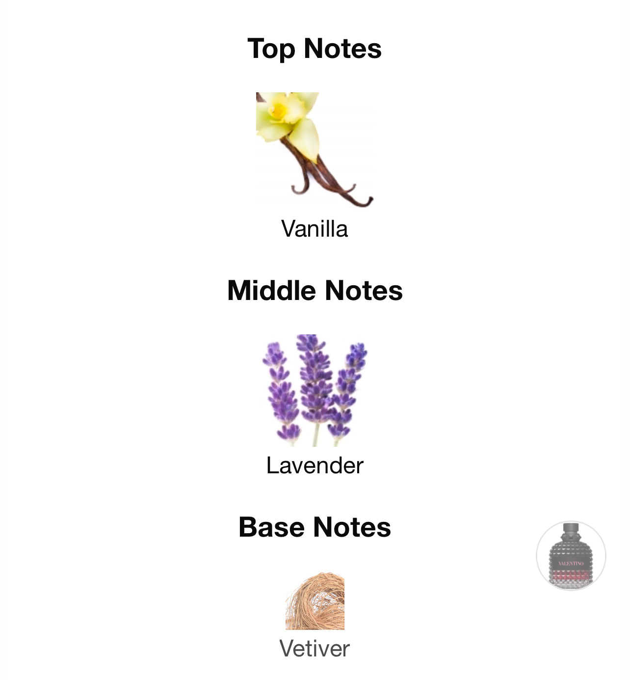 Valentino Born in Roma intense