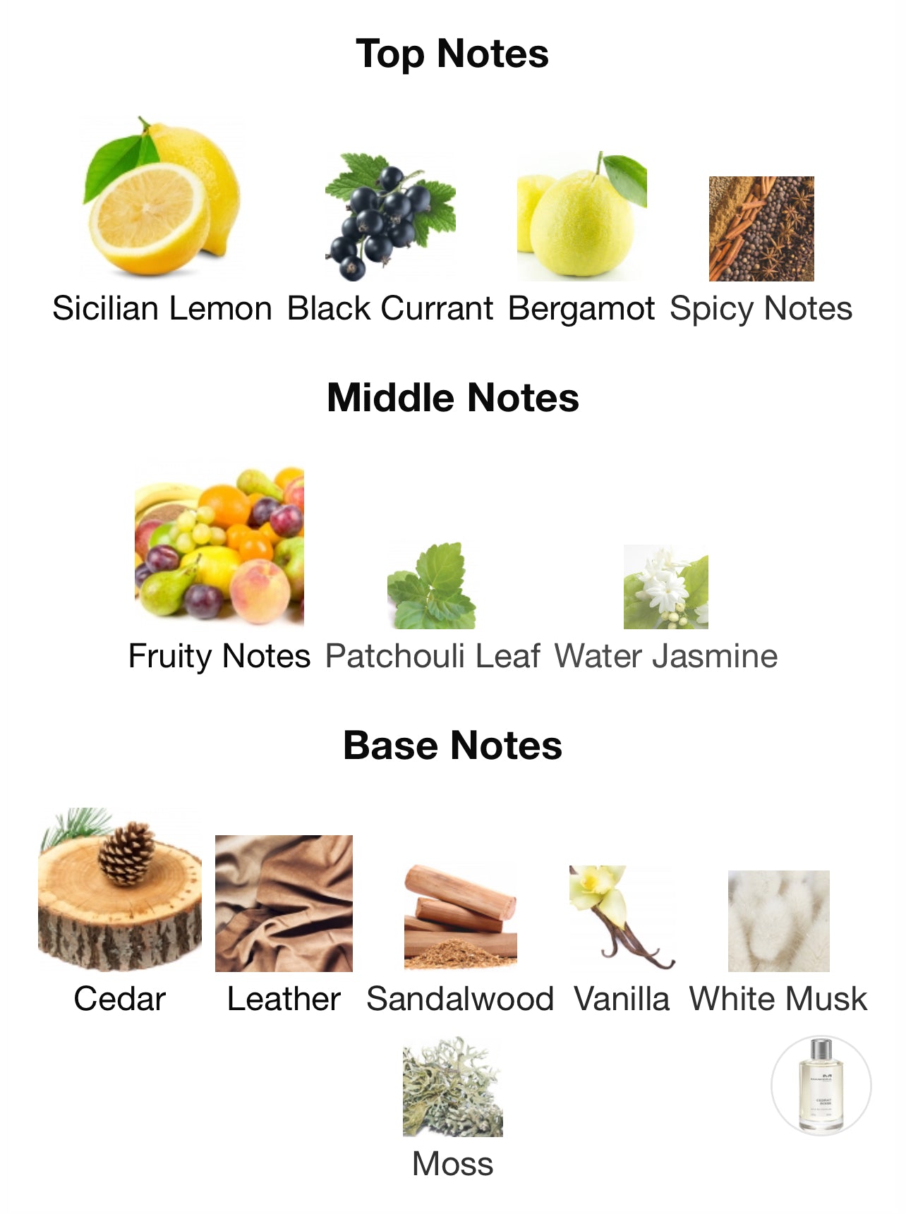 Mancera Cedrat Boise