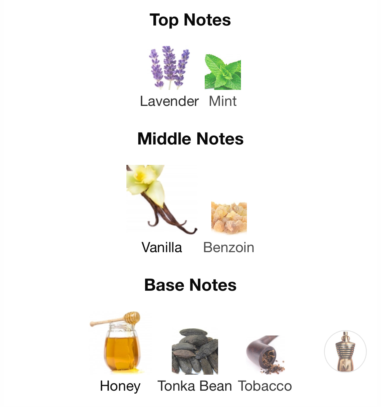 Jean Paul Gaultier Le Male Elixir