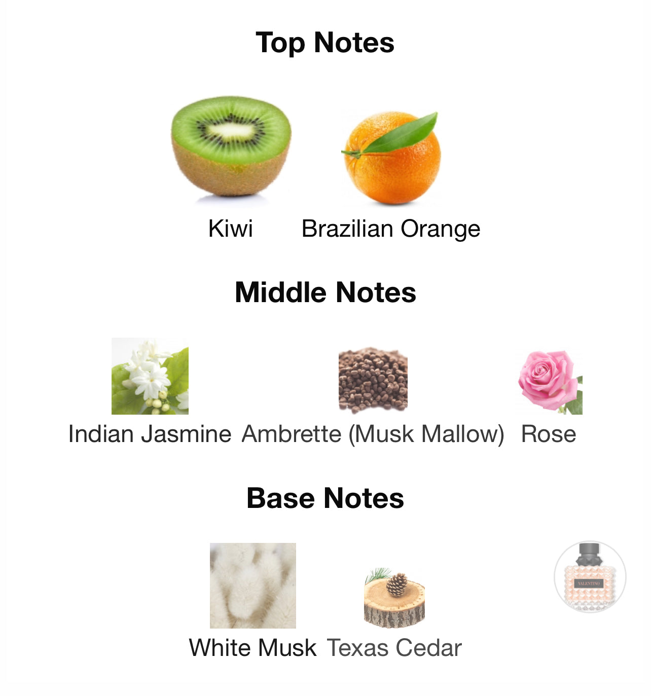 Valentino Donna Born in Roma Coral Fantasy