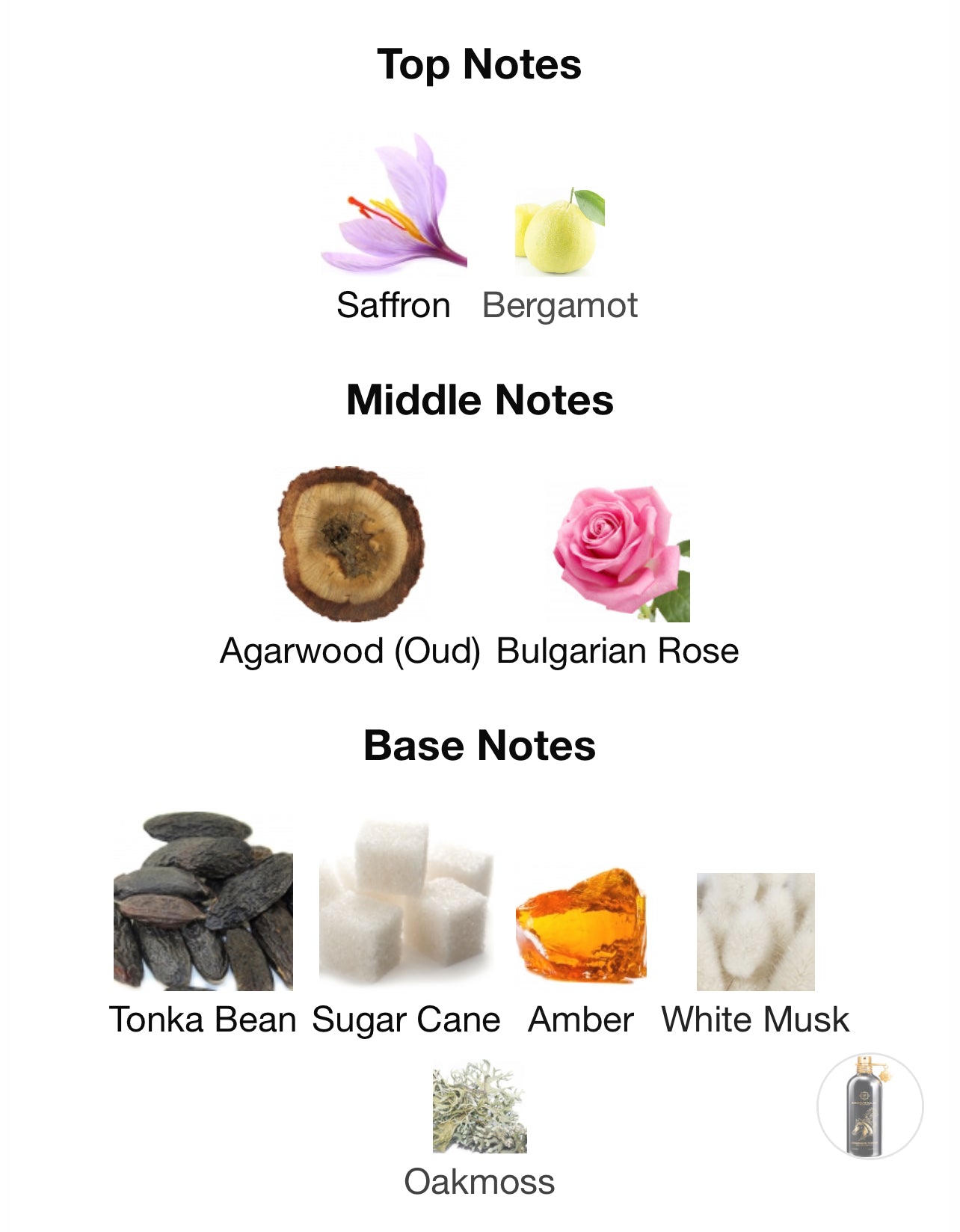 Montale Arabians Tonka