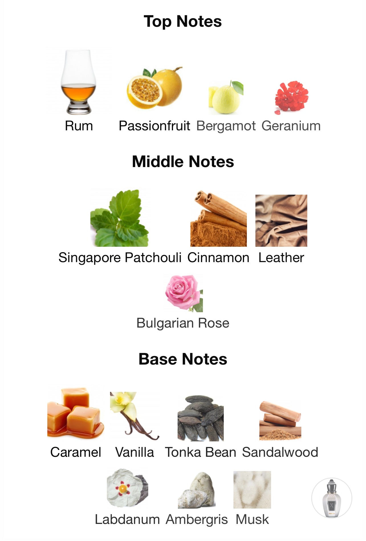 Xerjoff Tony Iommi Monkey Special