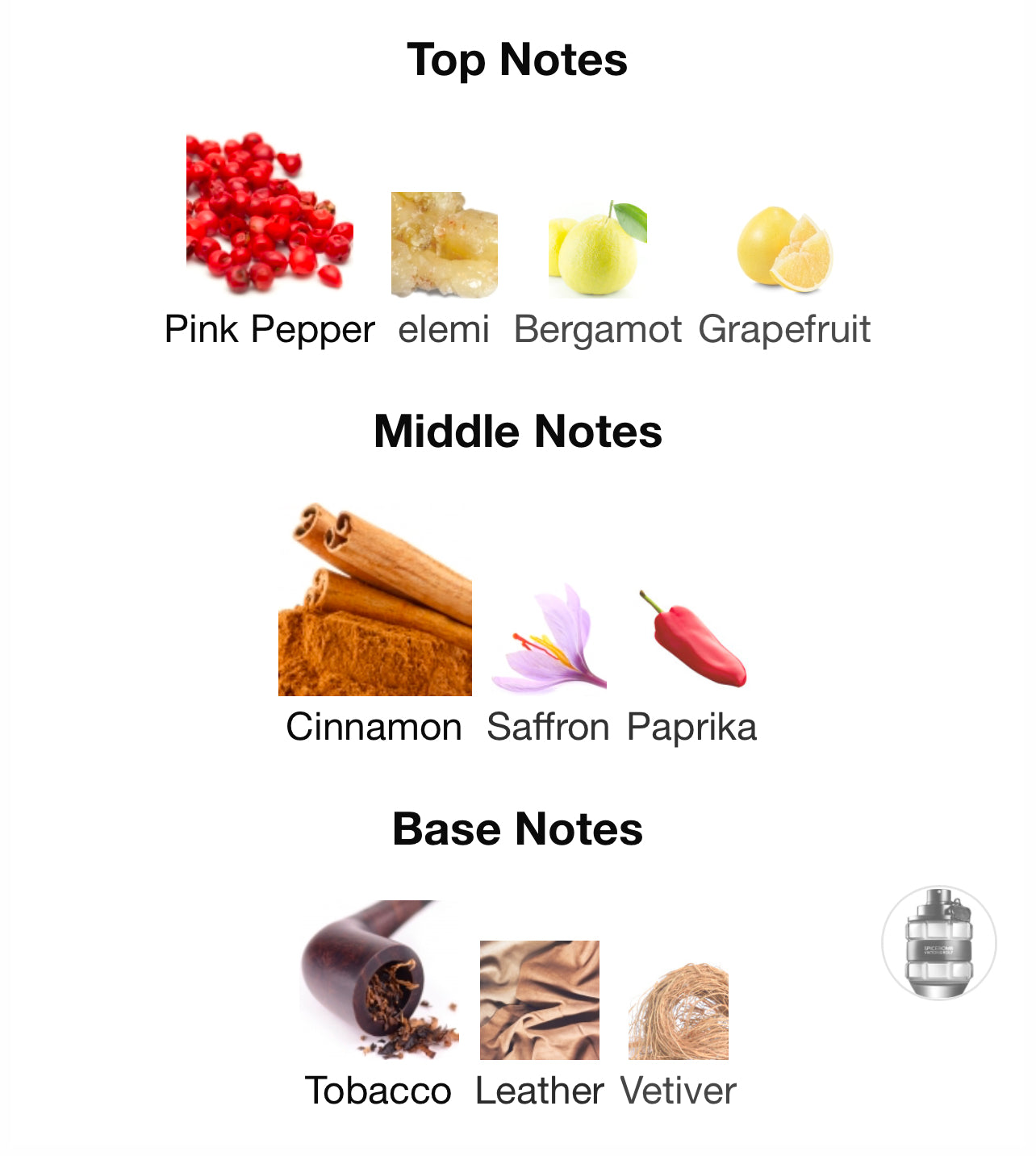 Viktor&Rolf Spicebomb