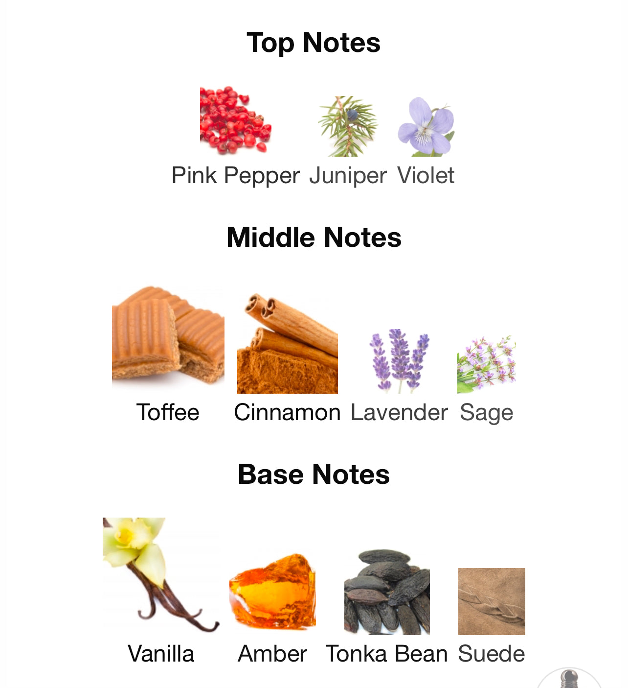 Armani Stronger With You intensely