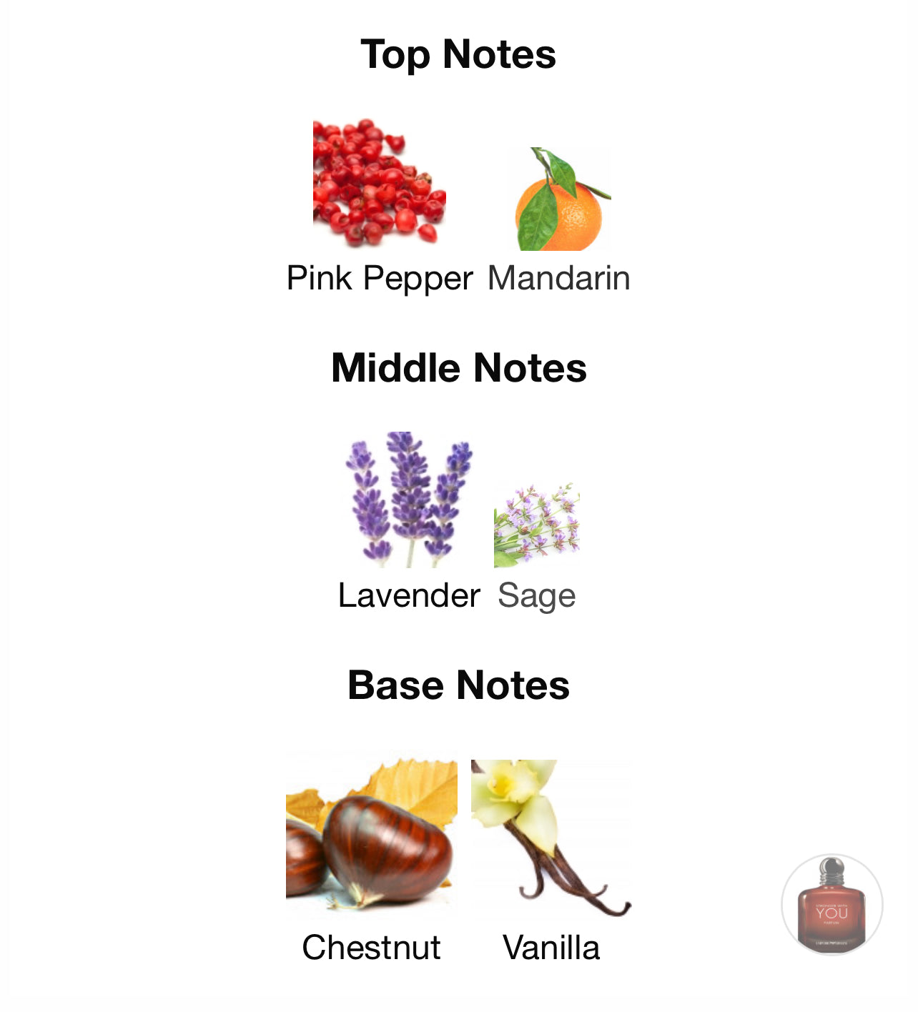 Armani Stronger With You Parfum