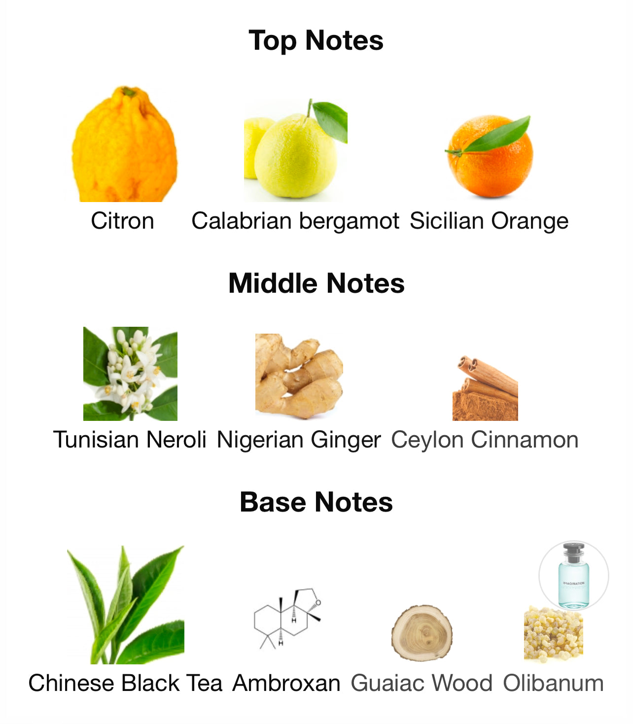 Louis Vuitton Imagination