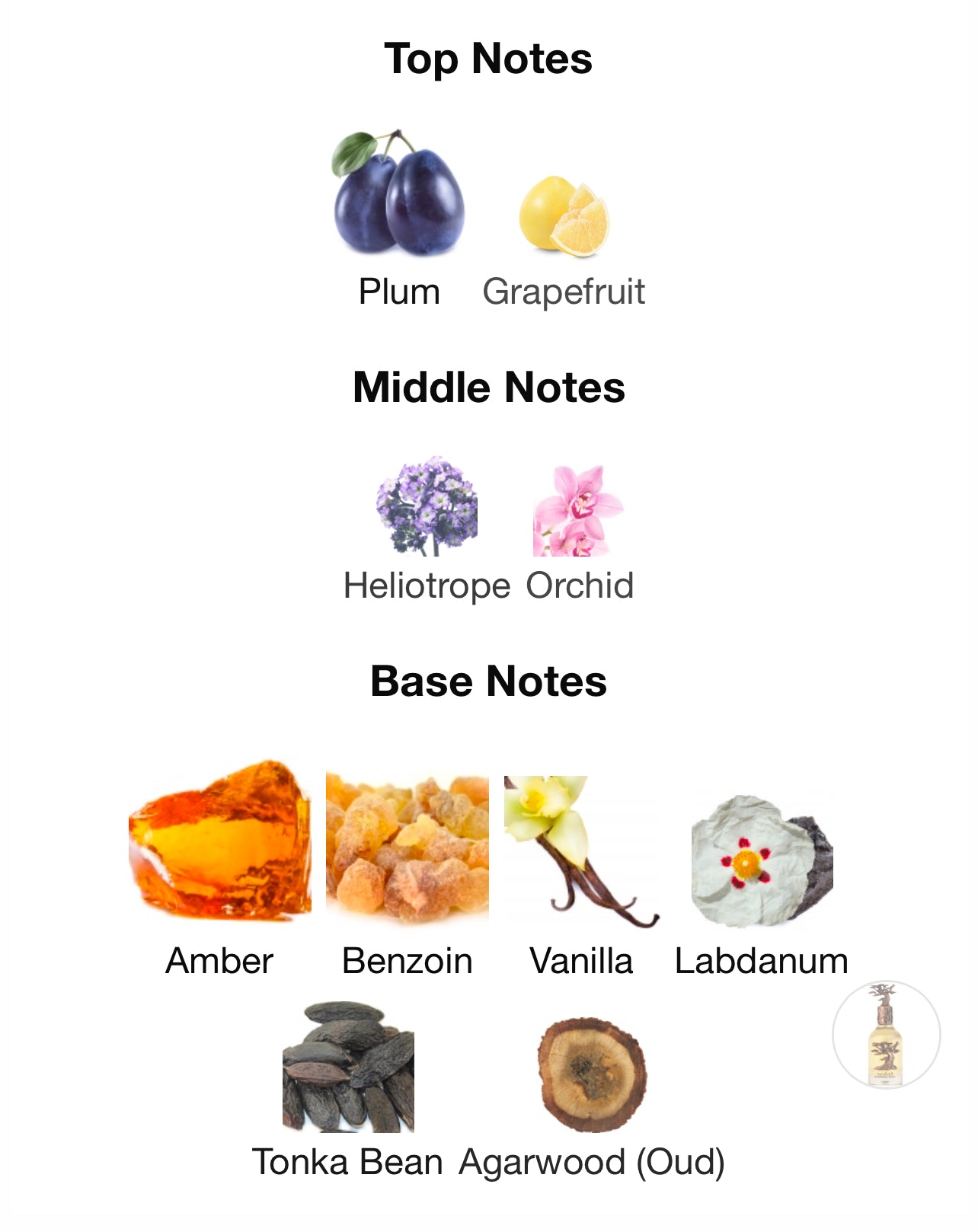 Lattafa Eternal Oud