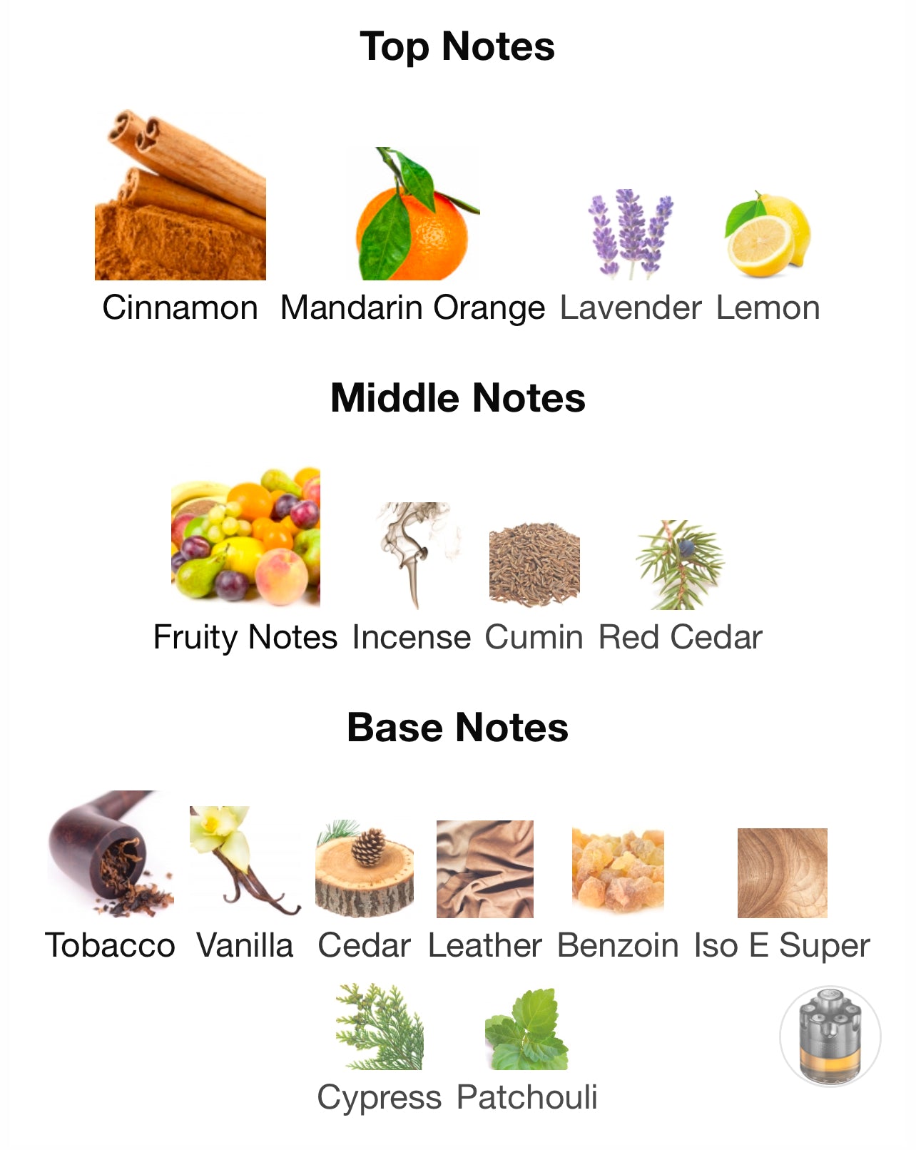 Azzaro Wanted by Night