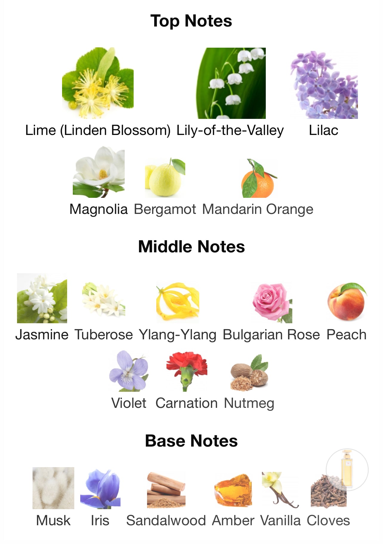 Elizabeth Arden 5Th Avenue