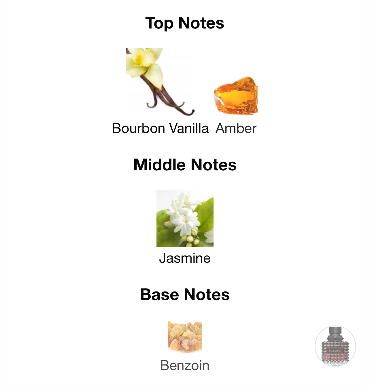 Valentino Donna Born in Roma intense