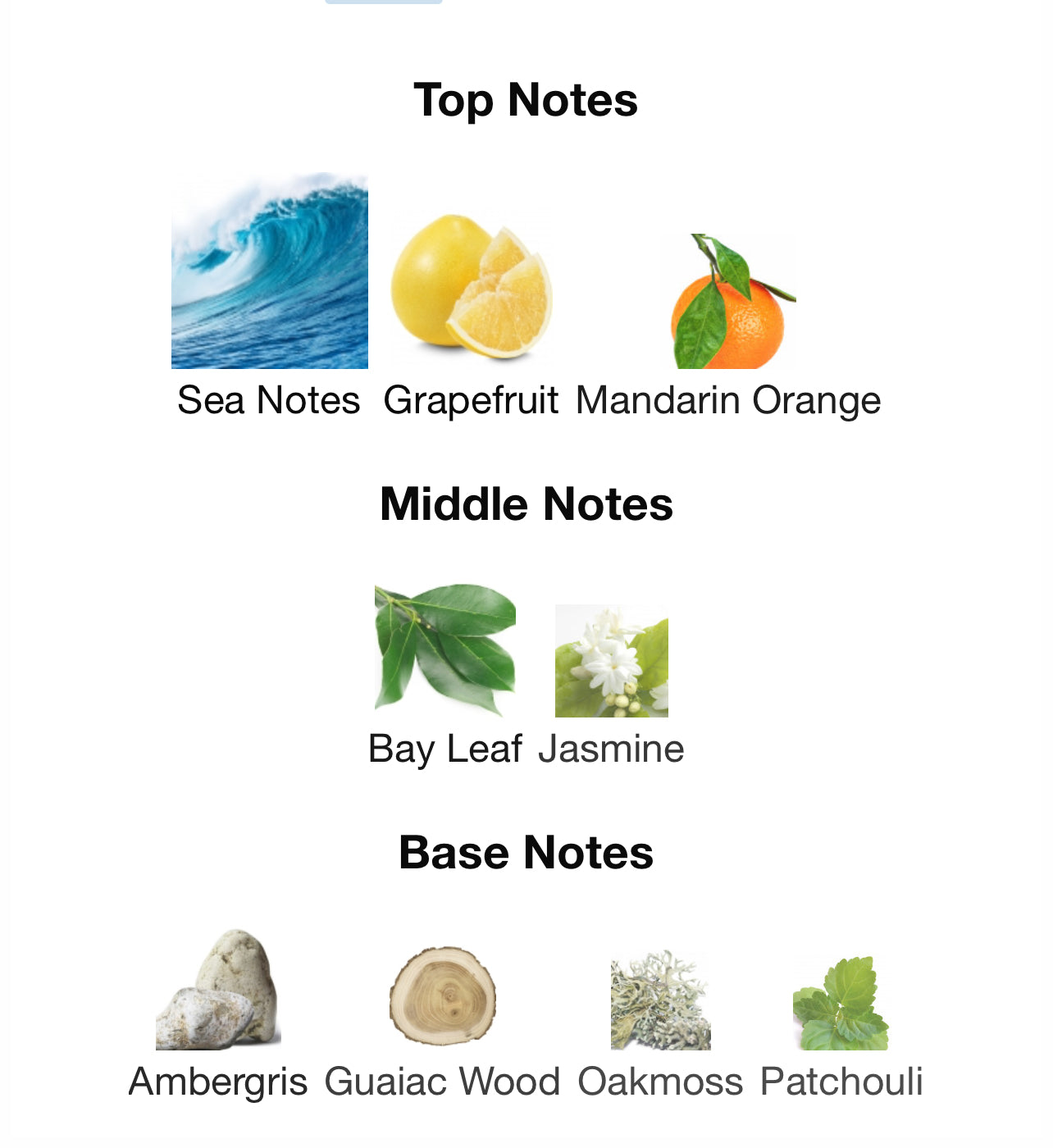 Paco Rabanne Invictus