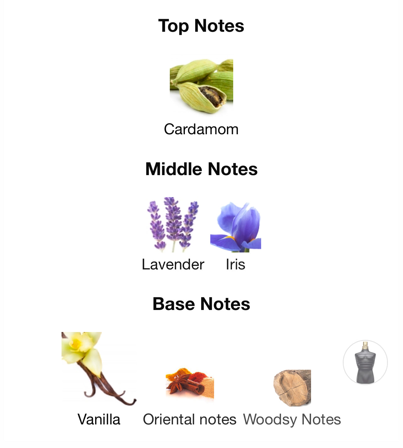 Jean Paul Gaultier Le Male Le Parfum