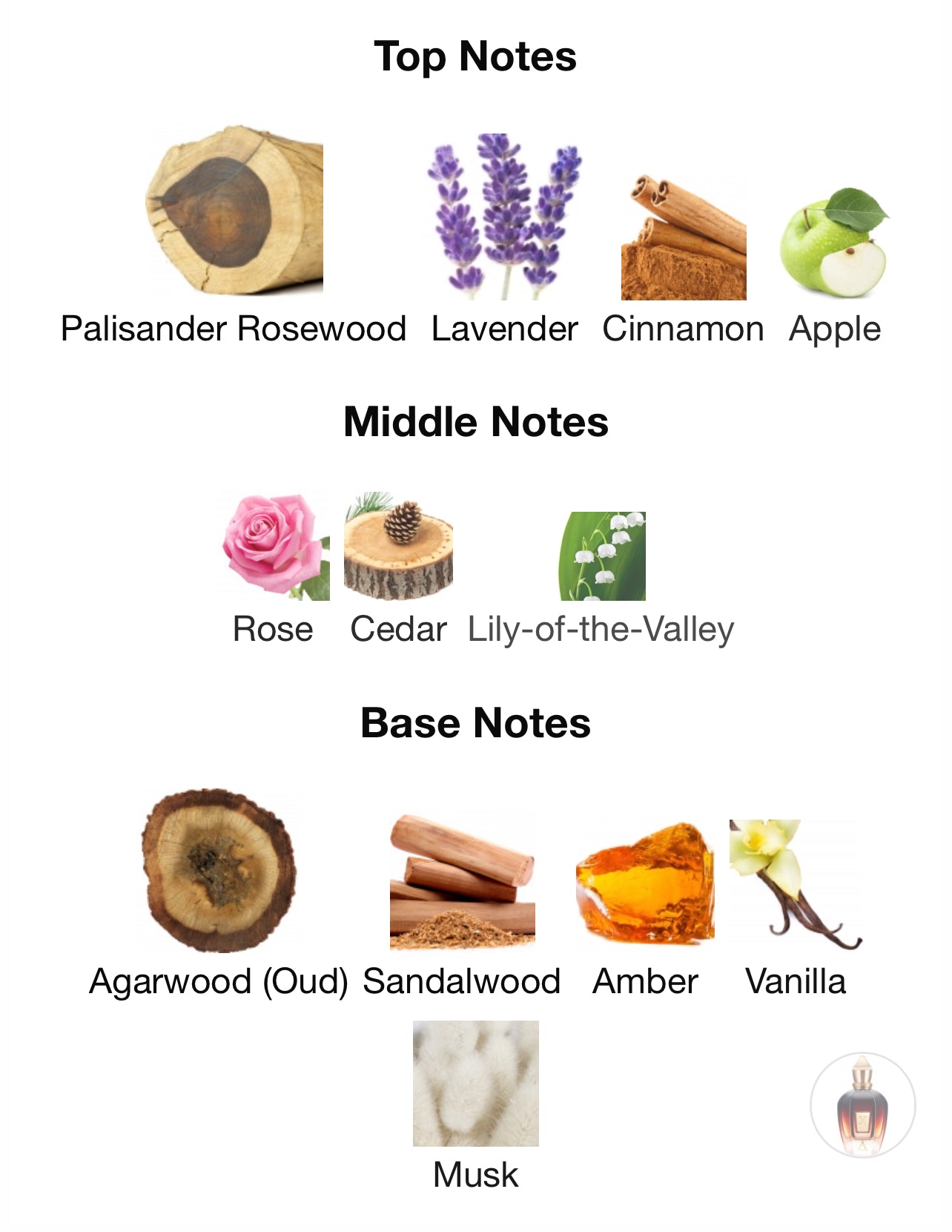 Xerjoff ALEXANDRIA II