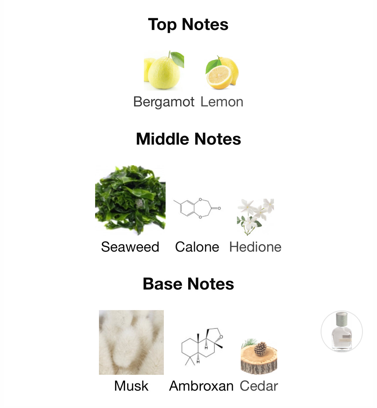 Orto Parisi Megamare