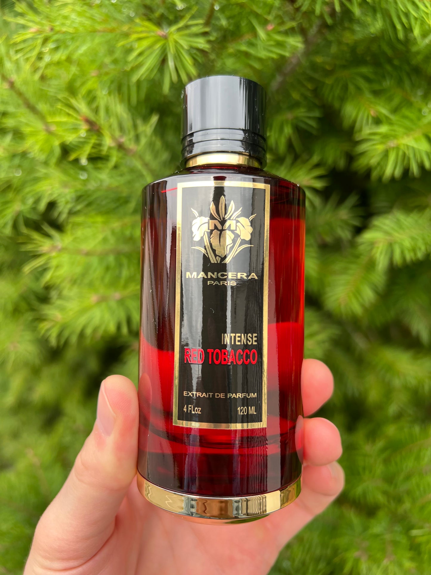 Mancera Intense Red Tobacco