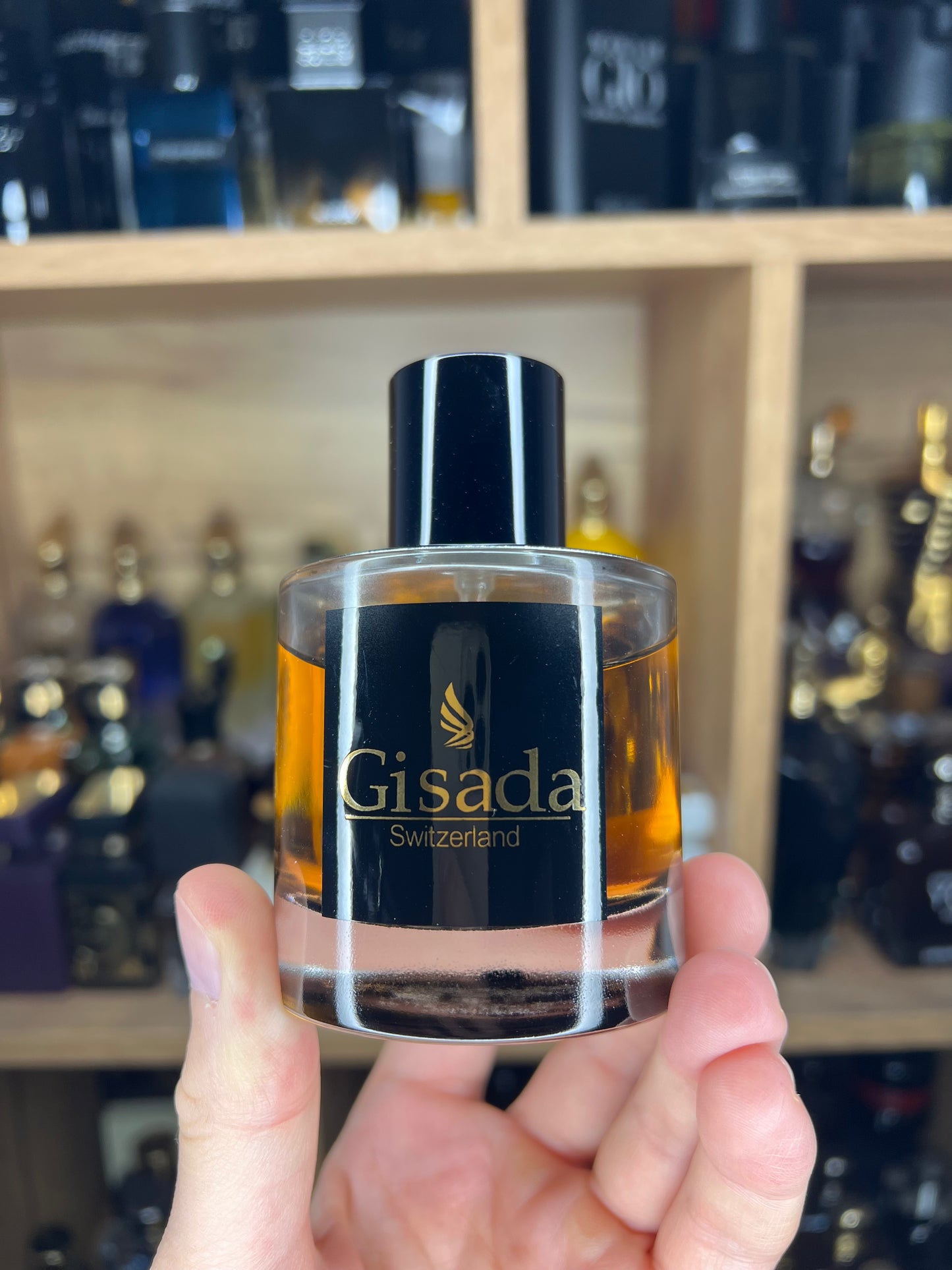 Gisada Ambassador for Men