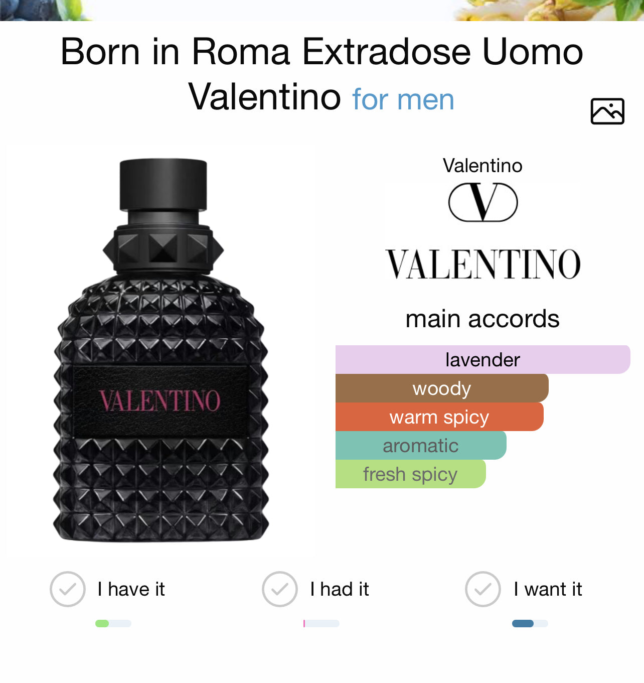 Valentino Born in Roma Extradose
